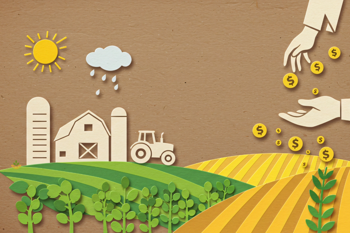 Usvojena Uredba o raspodeli podsticaja za poljoprivredu i ruralni razvoj za 2026. godinu u Srbiji